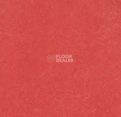 Линолеум Forbo Marmoleum Marbled Fresco 3263-326335 rose фото 1 | FLOORDEALER